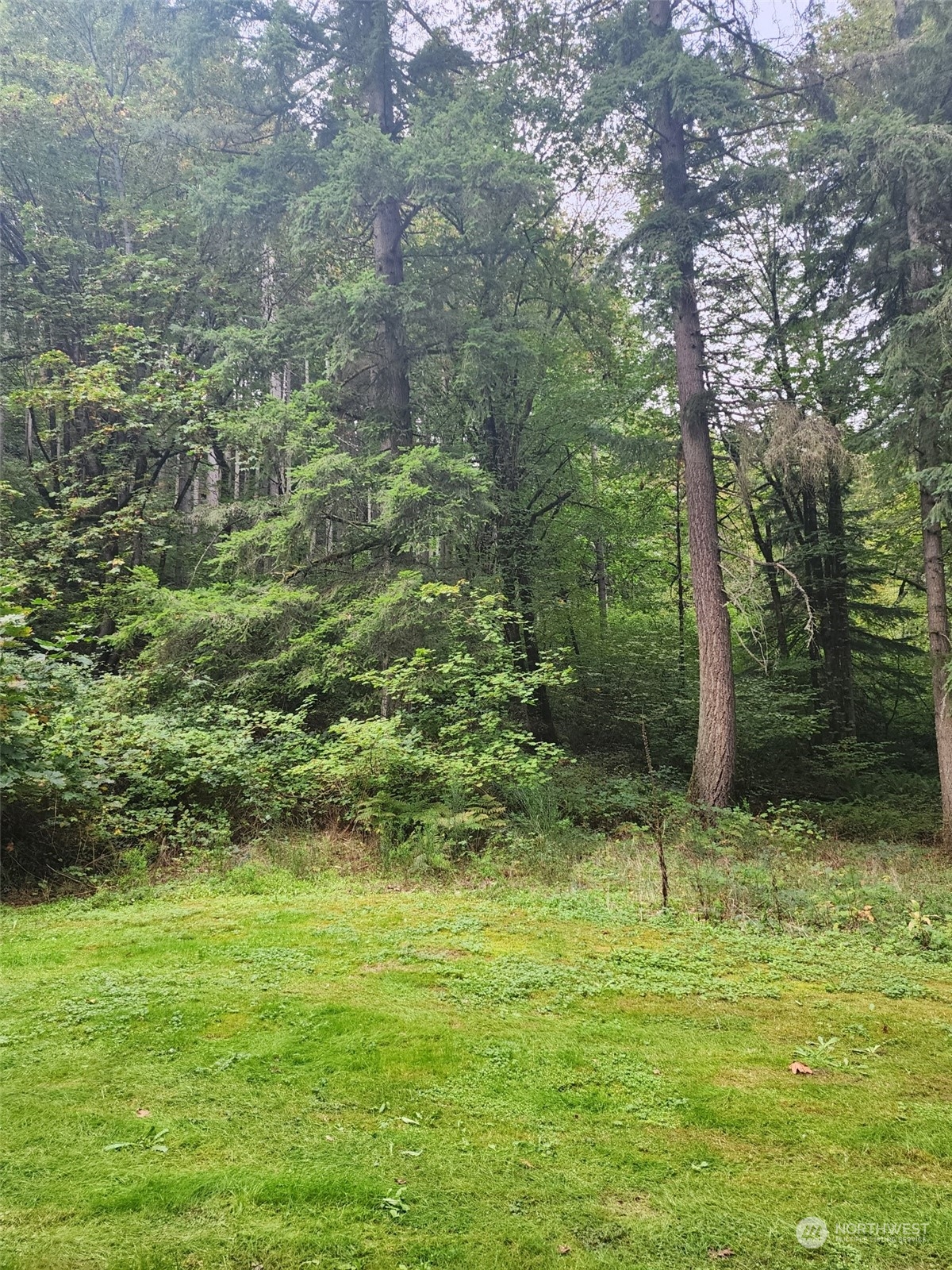 178-xx Southeast Jones Road Renton, WA 98058 - Photo 5 of 9