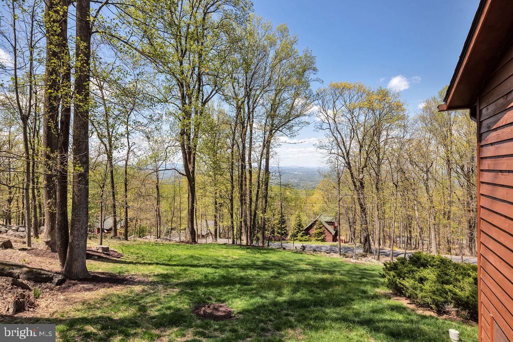 102 Salt Lick Road Front Royal, VA 22630 - Photo 11 of 50 Gallery Image 11
