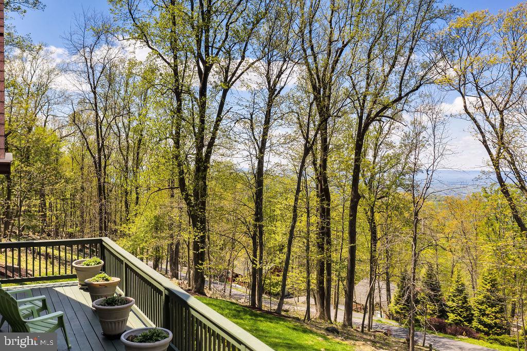 102 Salt Lick Road Front Royal, VA 22630 - Photo 38 of 50 Gallery Image 38