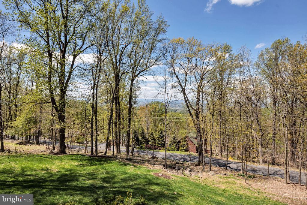 102 Salt Lick Road Front Royal, VA 22630 - Photo 5 of 50 Gallery Image 5