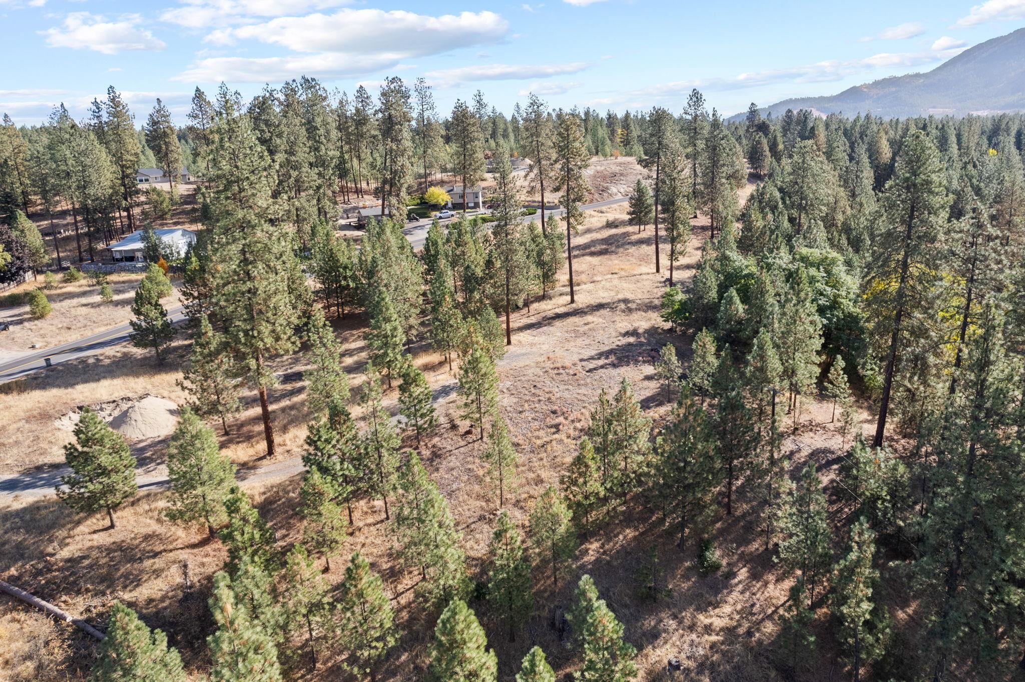 201 Old Kettle Road Kettle Falls, WA 99141 - Photo 4 of 22