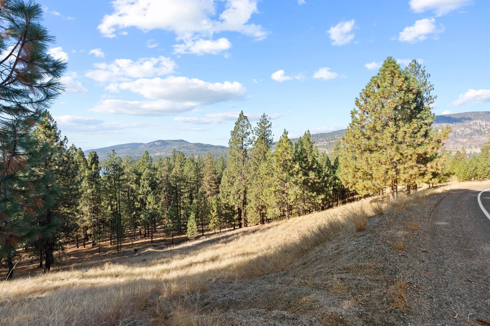 201 Old Kettle Road Kettle Falls, WA 99141 - Photo 6 of 22