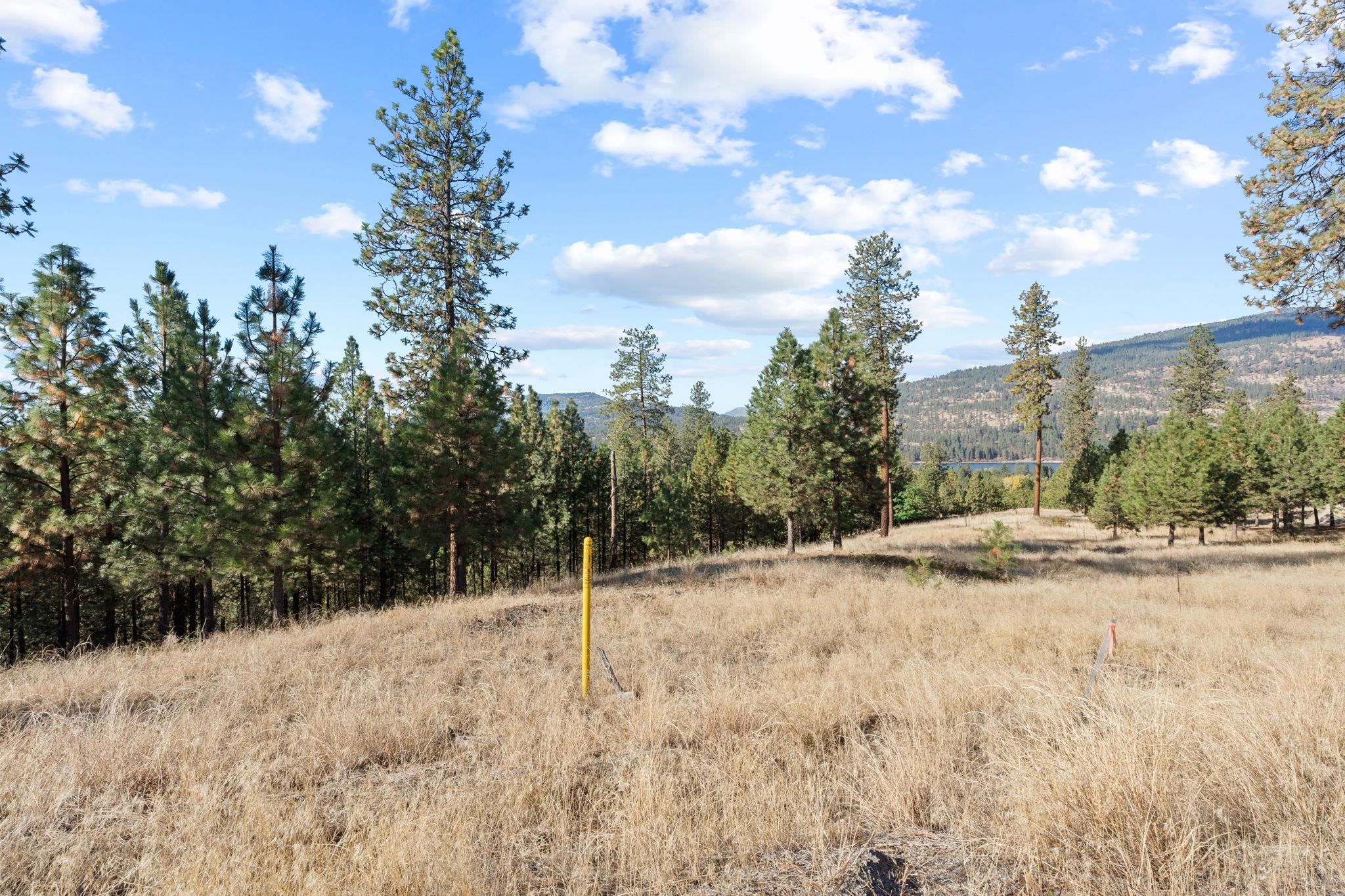 201 Old Kettle Road Kettle Falls, WA 99141 - Photo 7 of 22