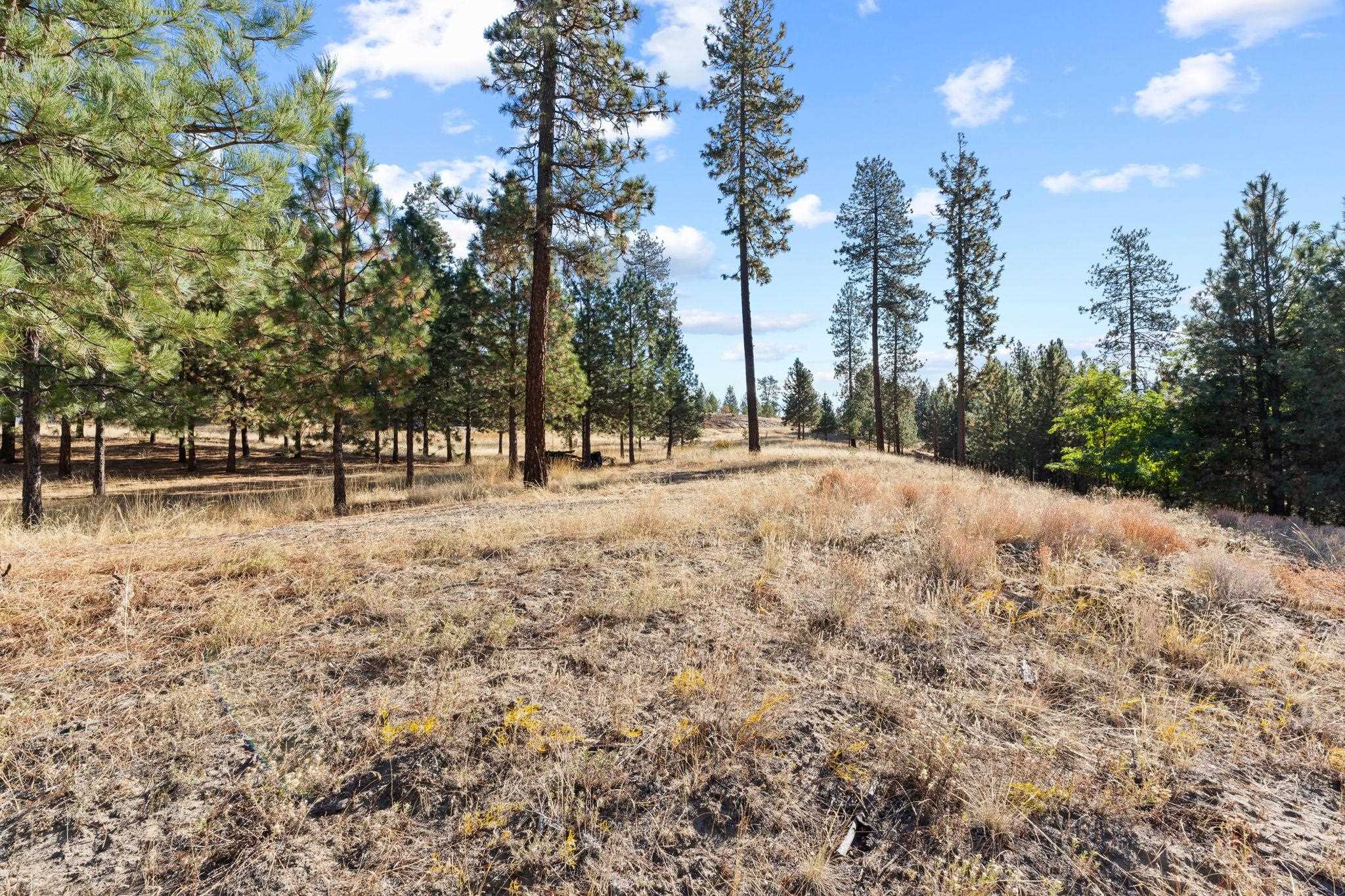 201 Old Kettle Road Kettle Falls, WA 99141 - Photo 8 of 22