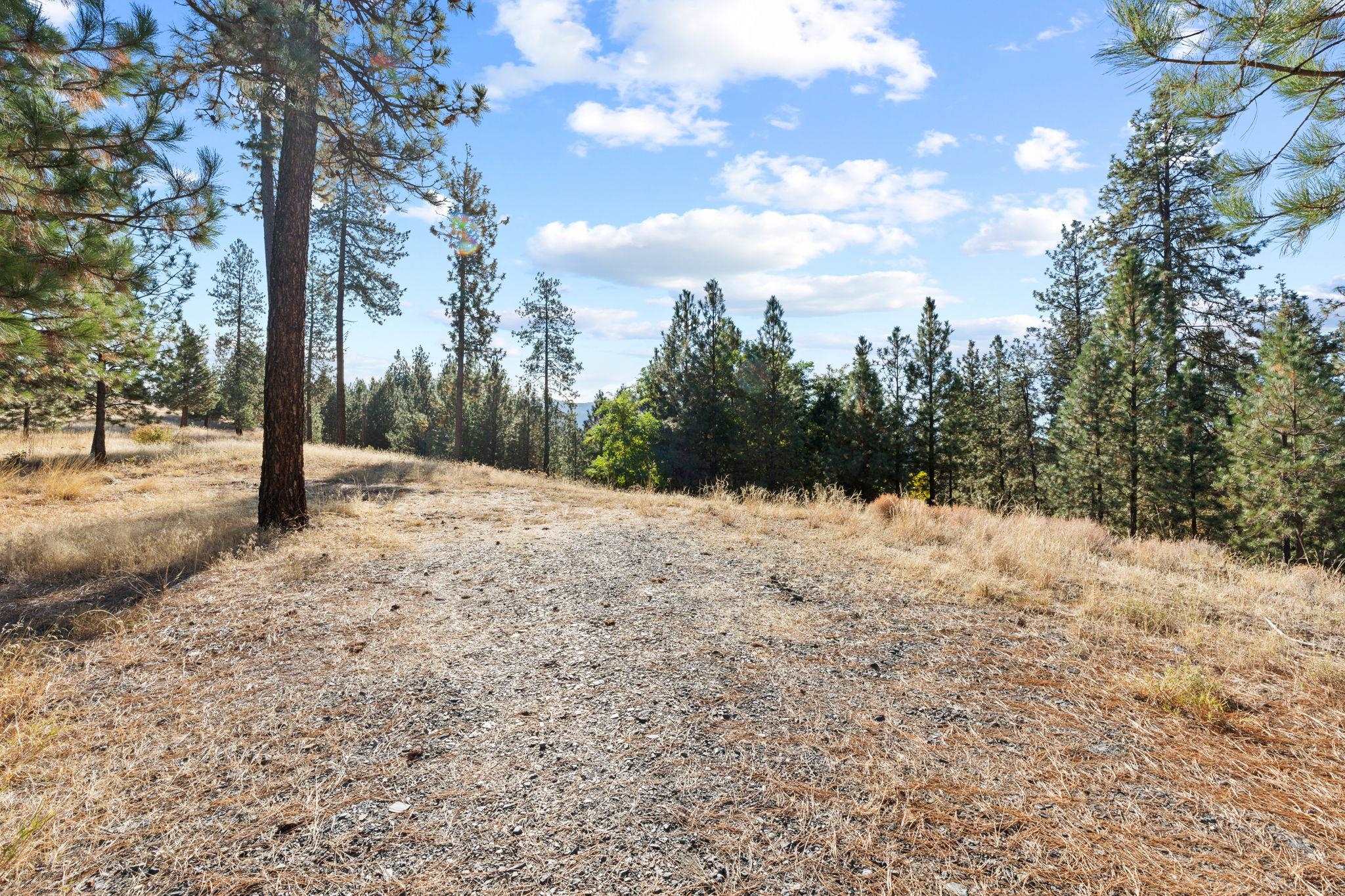 201 Old Kettle Road Kettle Falls, WA 99141 - Photo 9 of 22