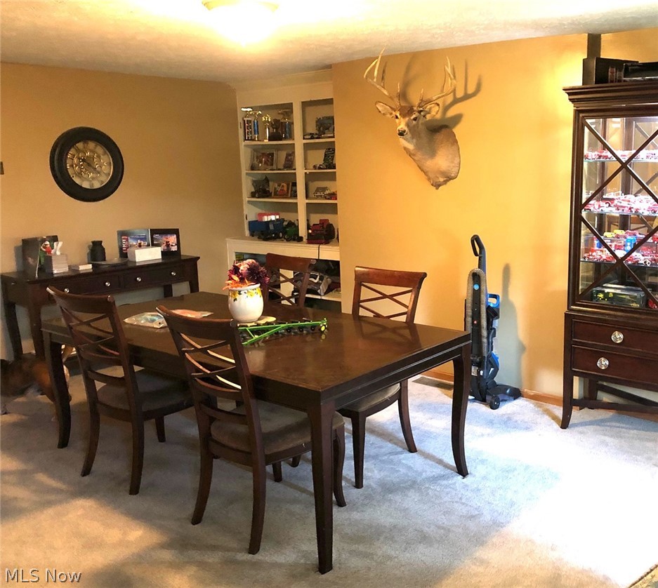238 Major Road Northeast Minerva, OH 44657 - Photo 8 of 13 Gallery Image 8