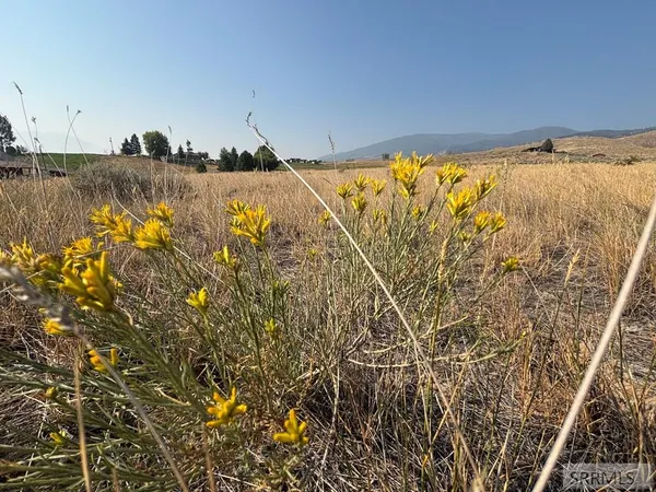 $125,000 | Tbd Blackrock Road, Salmon, ID 83467