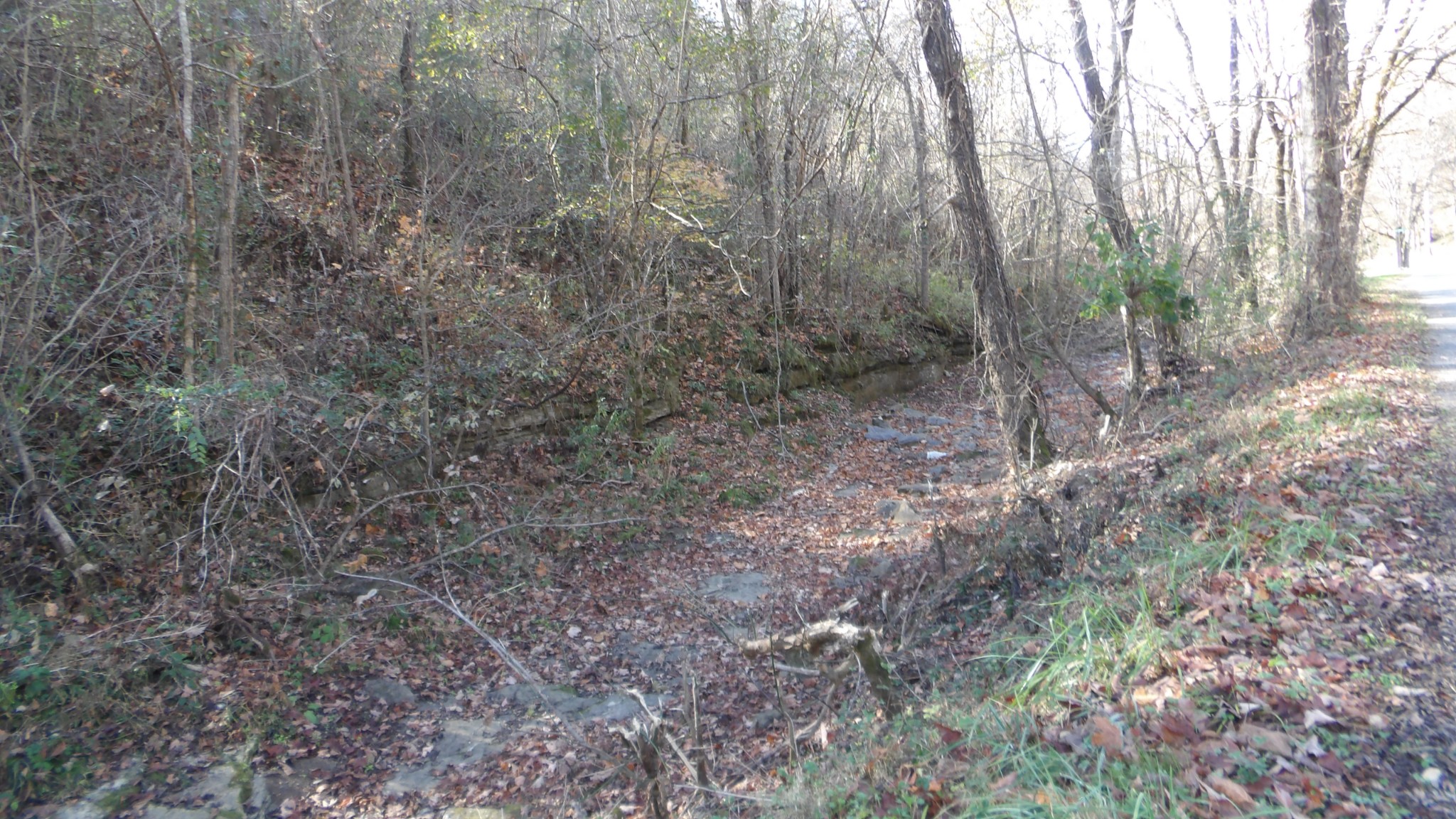 204 Modock Hollow Road Celina, TN 38551 - Photo 1 of 22 Gallery Image 1