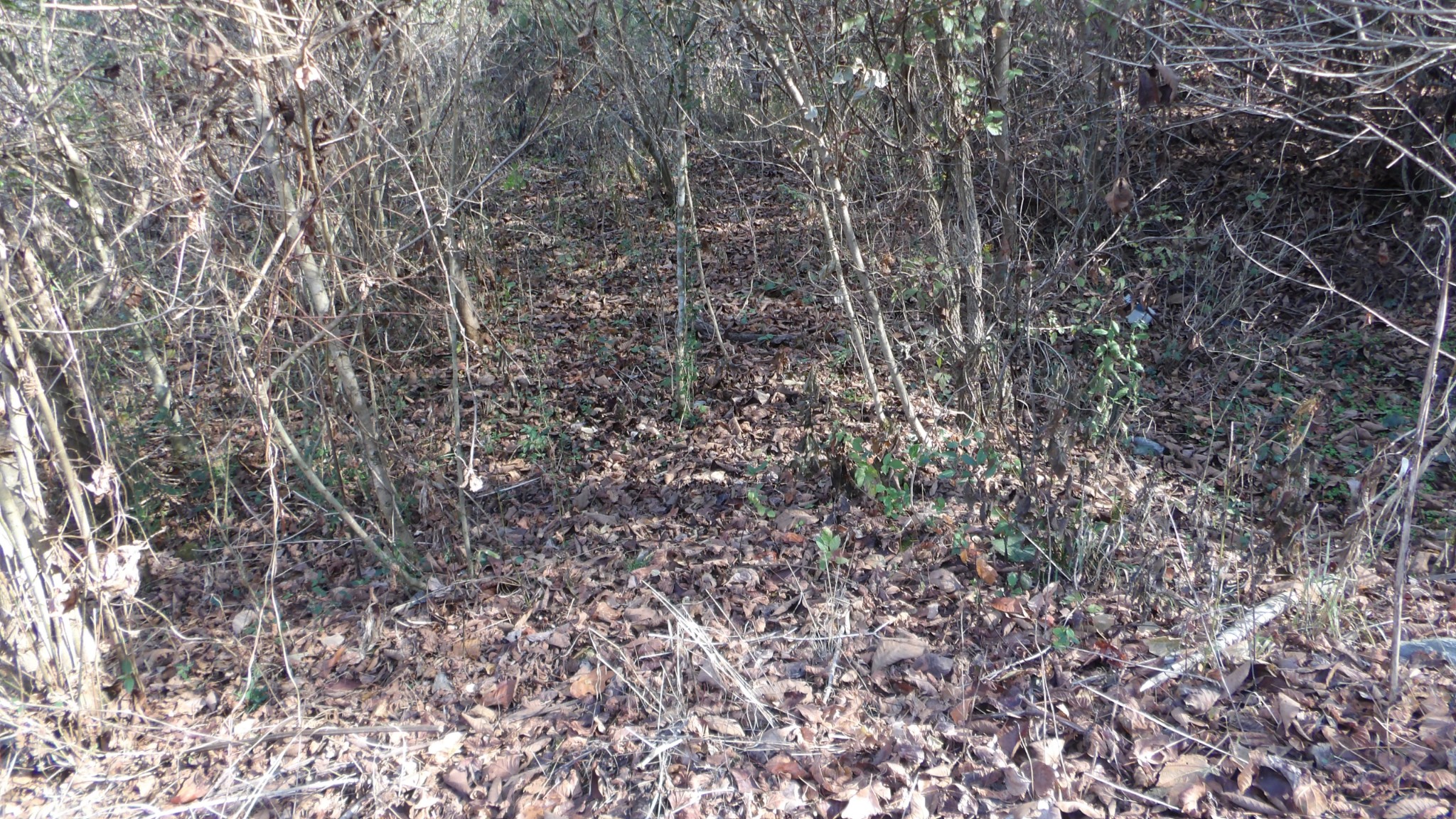 204 Modock Hollow Road Celina, TN 38551 - Photo 12 of 22 Gallery Image 12