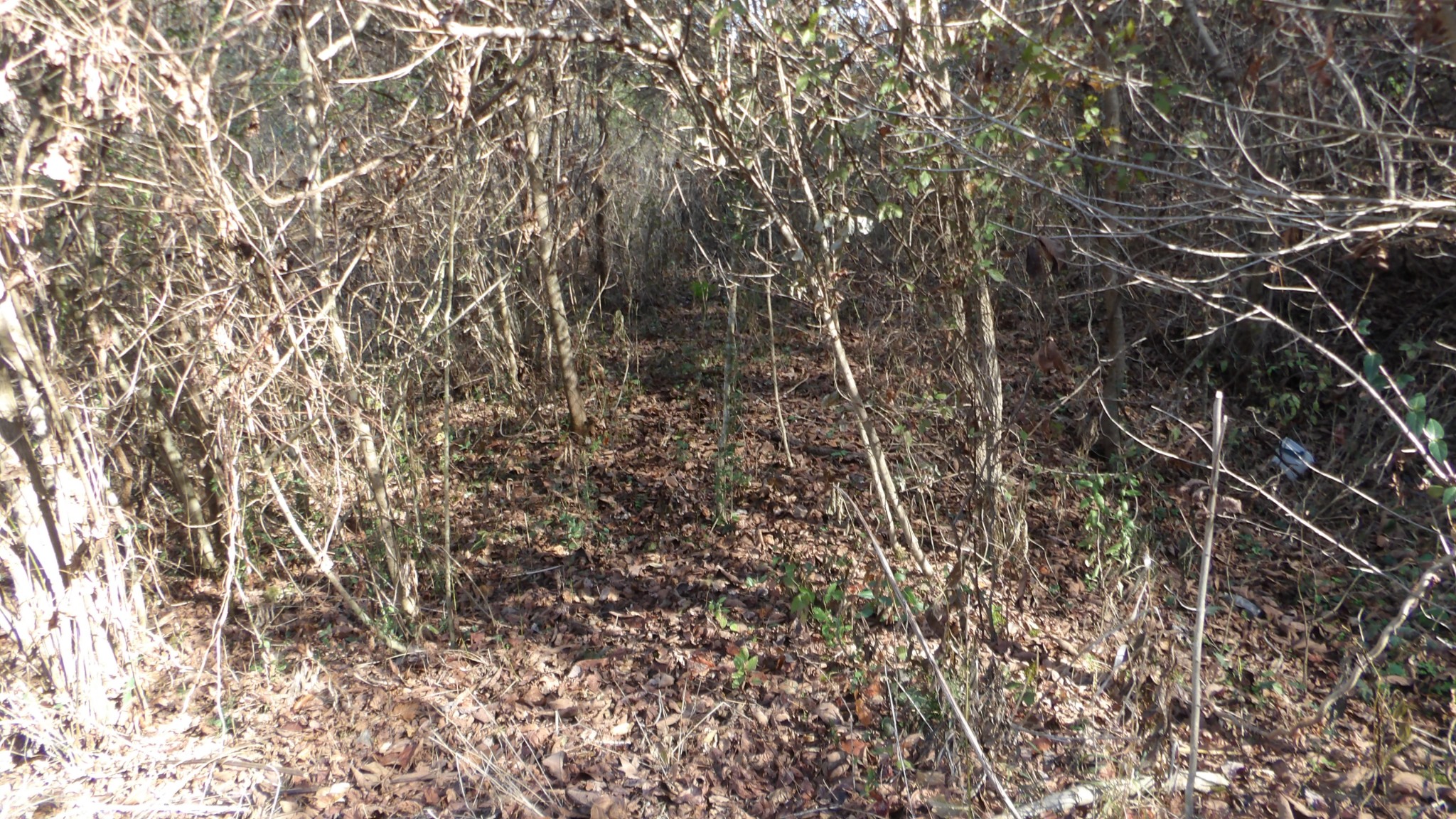 204 Modock Hollow Road Celina, TN 38551 - Photo 22 of 22 Gallery Image 22