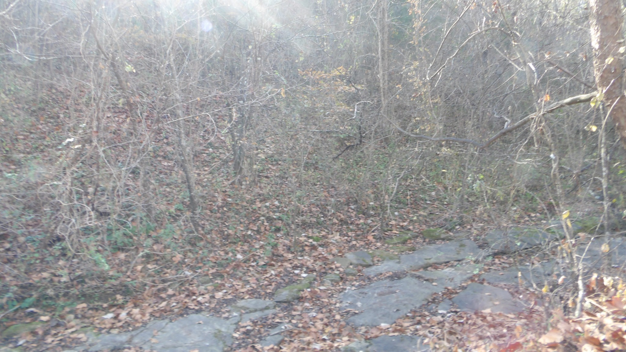 204 Modock Hollow Road Celina, TN 38551 - Photo 3 of 22 Gallery Image 3