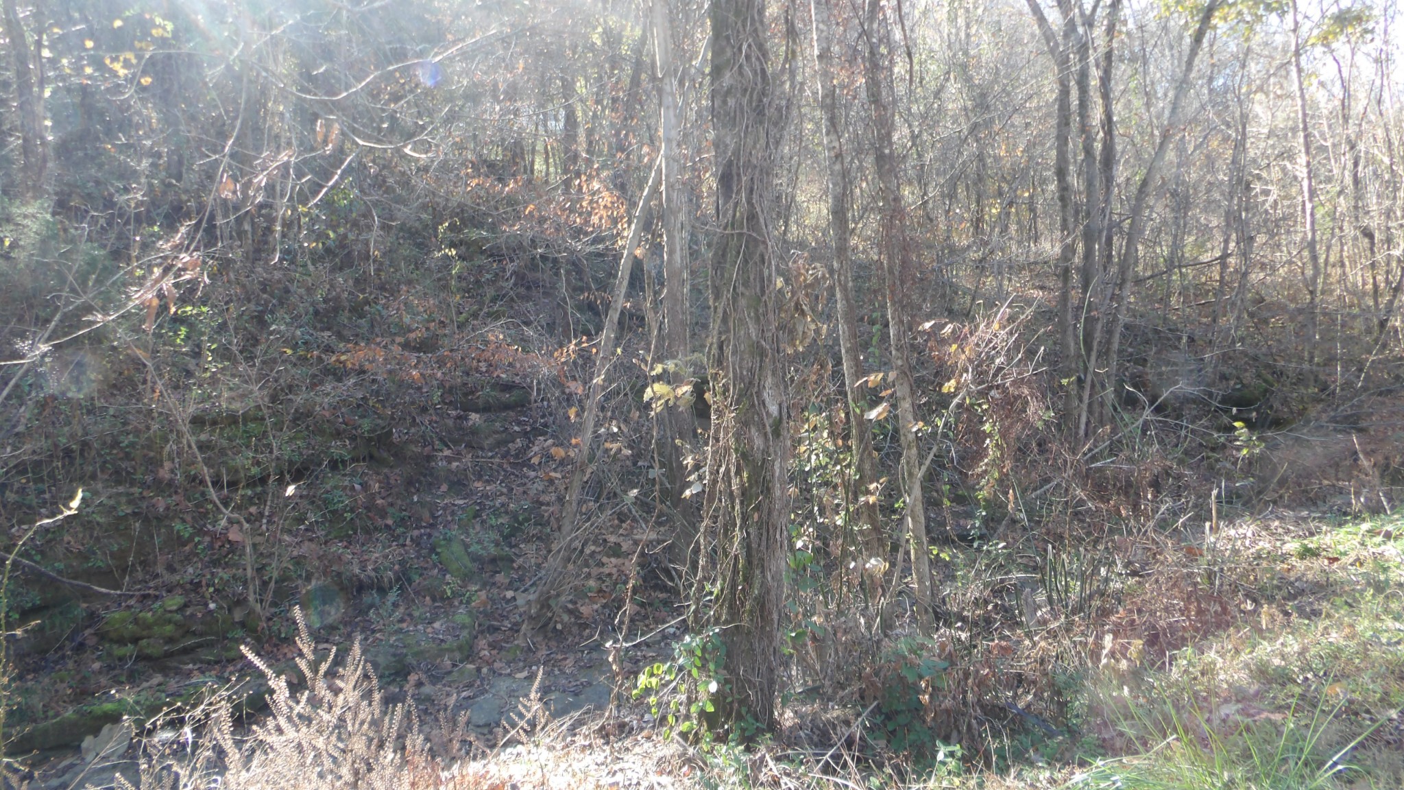 204 Modock Hollow Road Celina, TN 38551 - Photo 6 of 22 Gallery Image 6