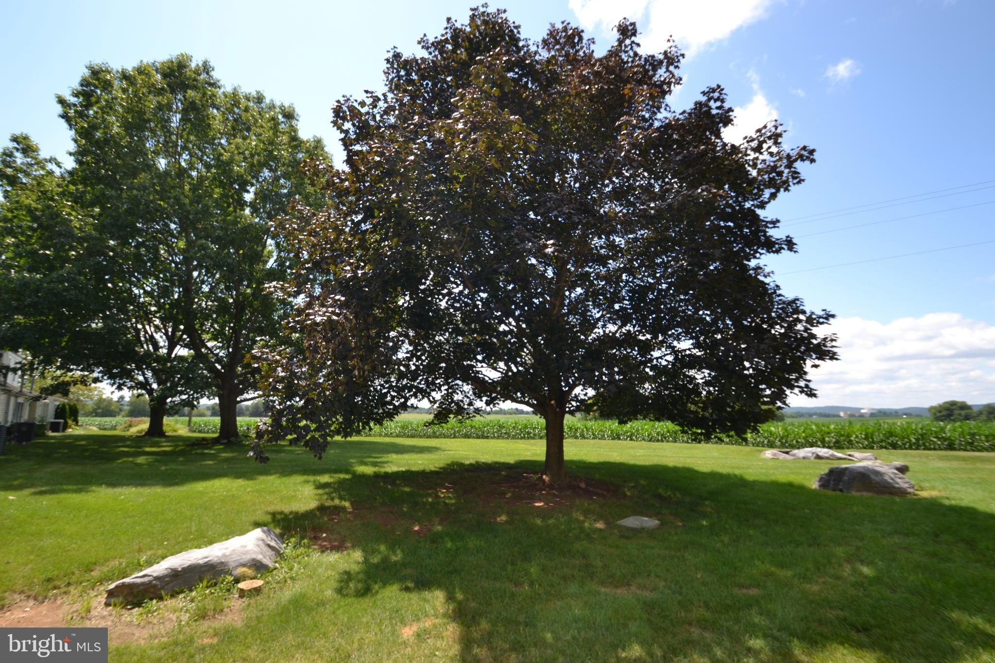 2106 Wexford Road Palmyra, PA 17078 - Photo 30 of 31 Gallery Image 30