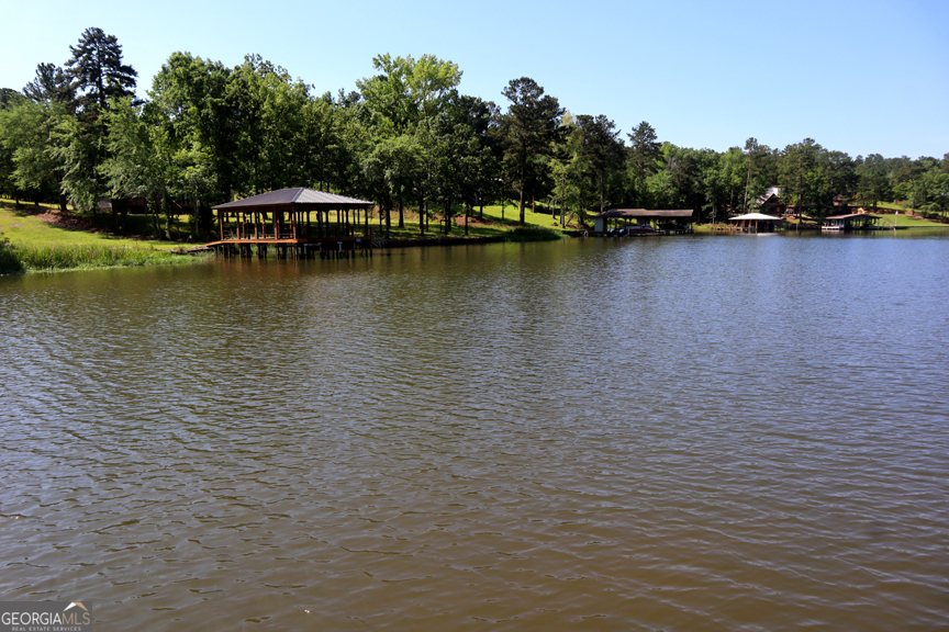 671 Pine Lake Sparta, GA 31087 - Photo 29 of 31 a view of a lake with houses