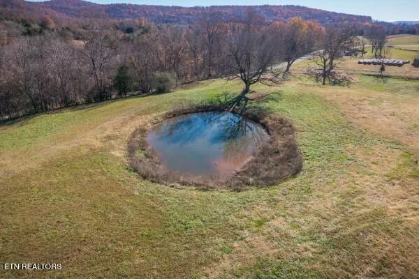 $499,900 | 33.58-ac East Bethlehem Road, Doyle, TN 38559