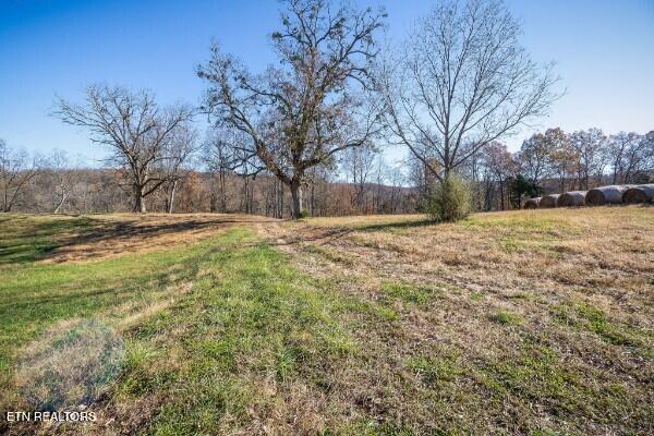 33.58-ac East Bethlehem Road Doyle, TN 38559 - Photo 19 of 26 136580029-lr