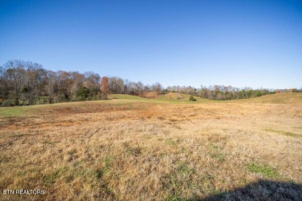 33.58-ac East Bethlehem Road Doyle, TN 38559 - Photo 8 of 26 136580036-lr