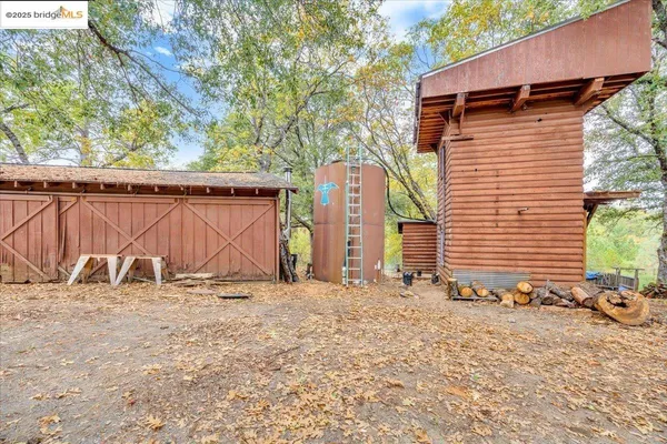 a view of a backyard with a large tree