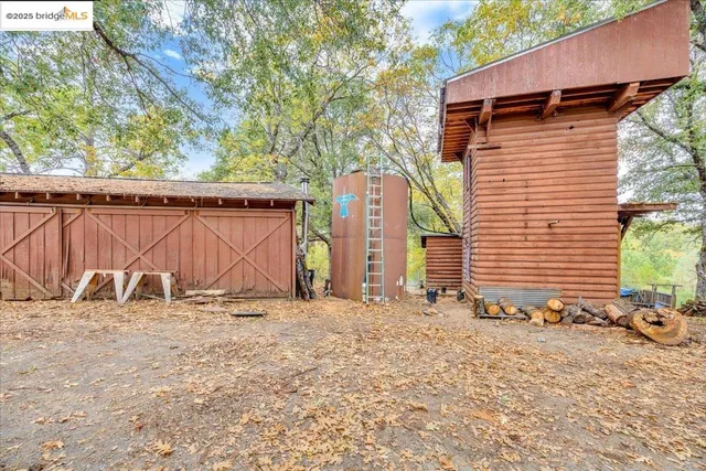 a view of a backyard with a large tree
