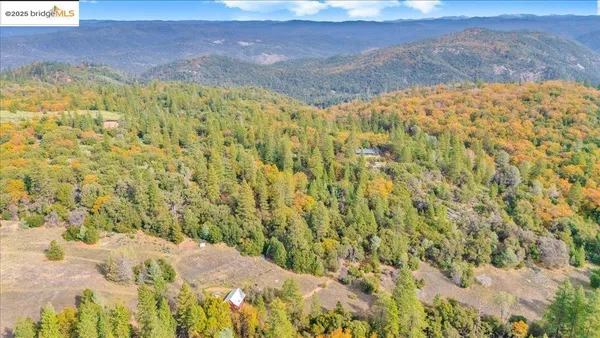 a kitchen with a stove a sink dishwasher and white cabinets with wooden floor