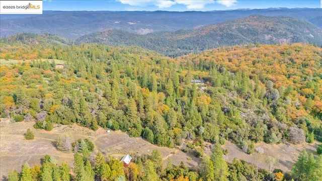 a kitchen with a stove a sink dishwasher and white cabinets with wooden floor