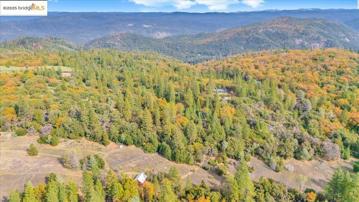 25300 Italian Bar Road Columbia, CA 95310 - Photo 32 of 60 a view of a yard