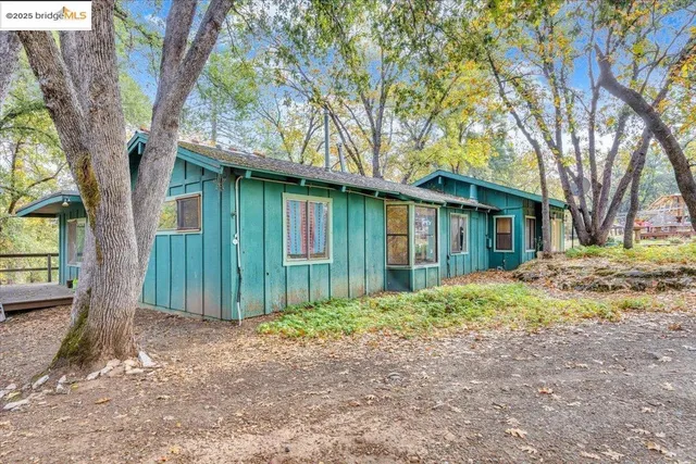 a view of a yard with plants