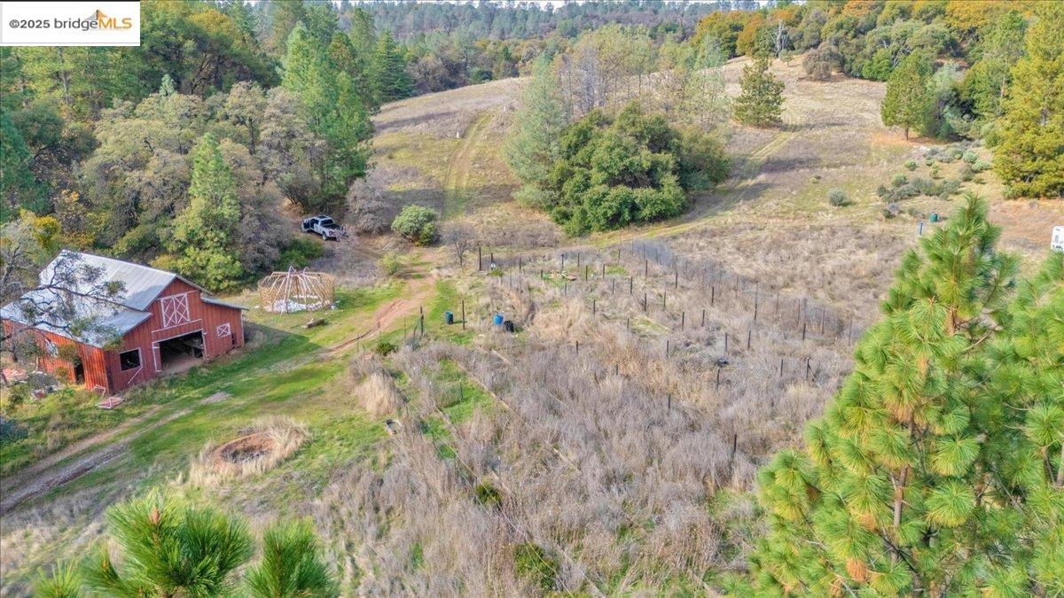 25300 Italian Bar Road Columbia, CA 95310 - Photo 40 of 60 a view of a yard with plants
