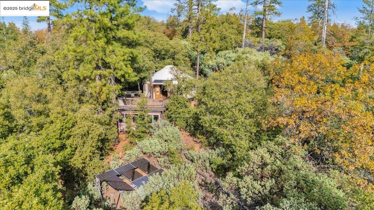 25300 Italian Bar Road Columbia, CA 95310 - Photo 51 of 60