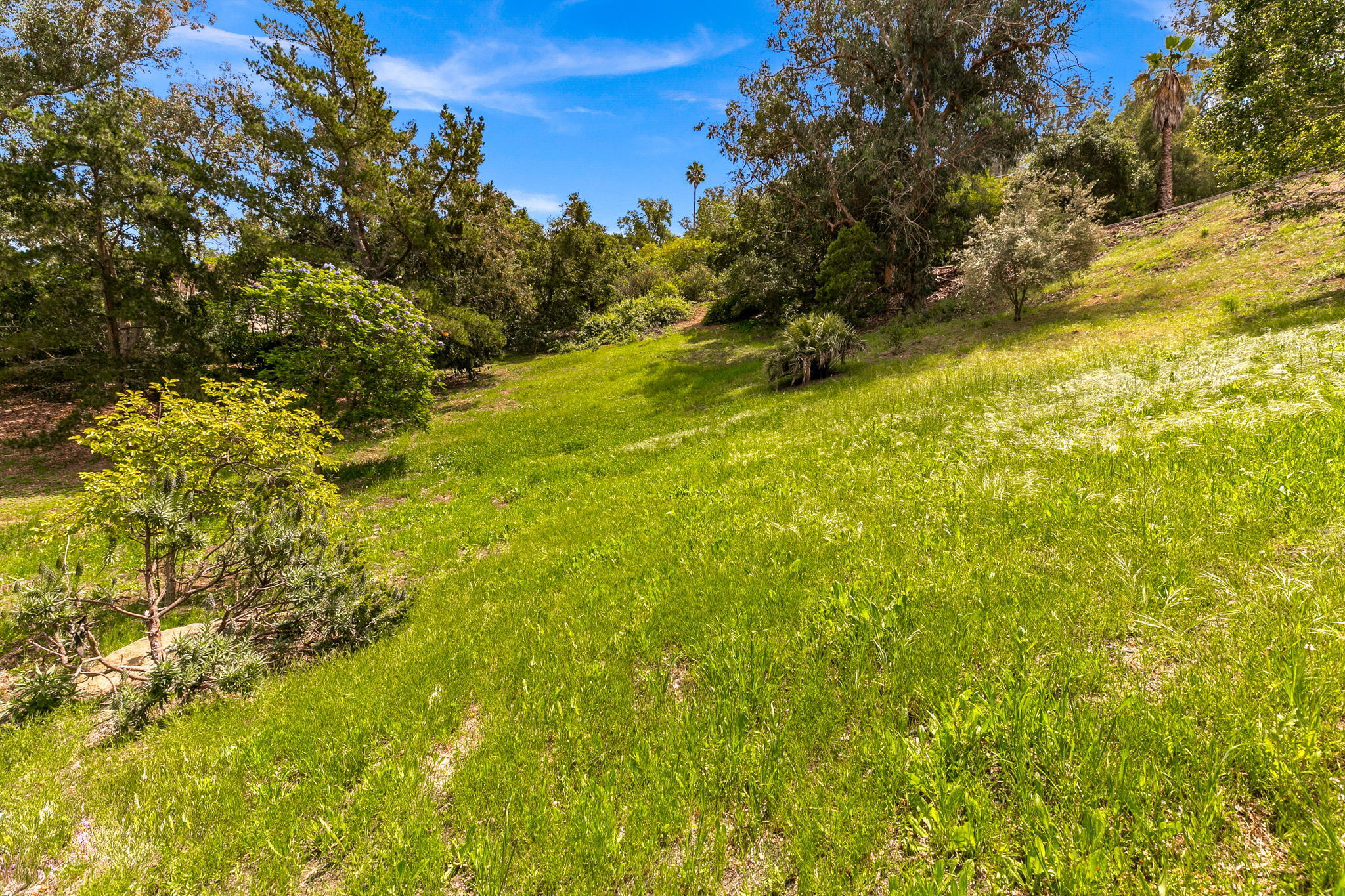 1920 Sycamore Canyon Road Santa Barbara, CA 93108 - Photo 53 of 66 54-web-or-mls-UpmarketMedia_1920Syc-39