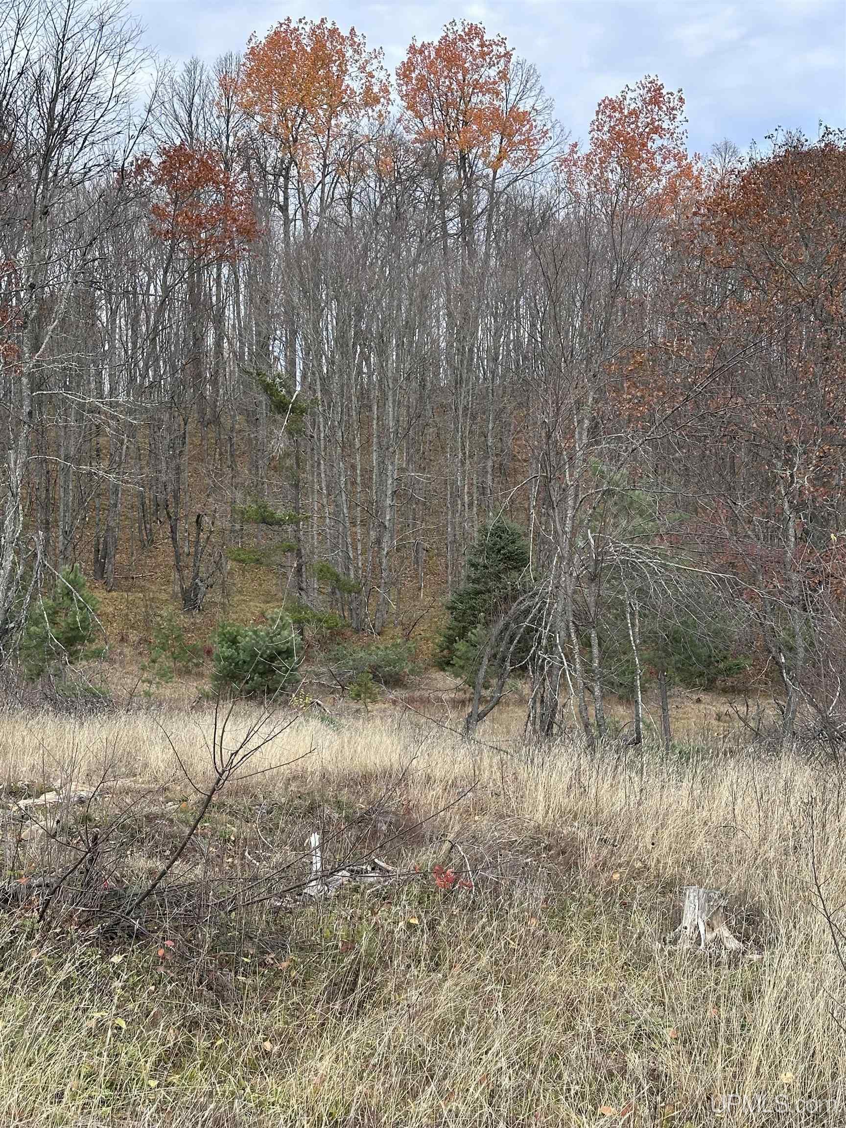 Tbd Co Rd 496 (b) Road, Unit PARCEL B Champion, MI 49814 - Photo 5 of 33