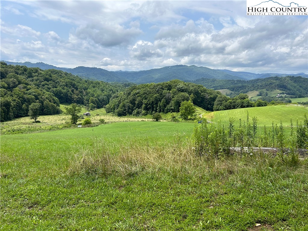 840 Ed Williams Road Vilas, NC 28692 - Photo 8 of 50