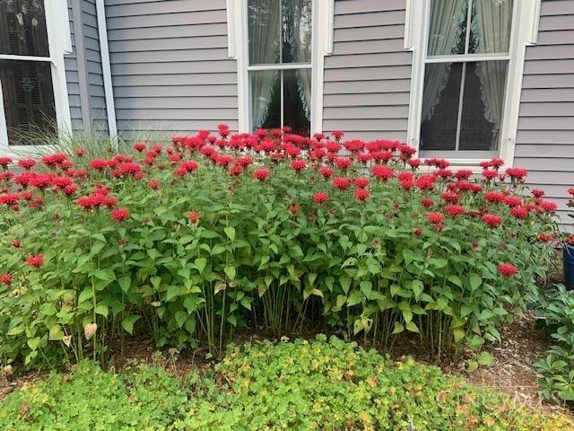 1144 Round Bottom Road Milford, OH 45150 - Photo 92 of 92 Gallery Image 92