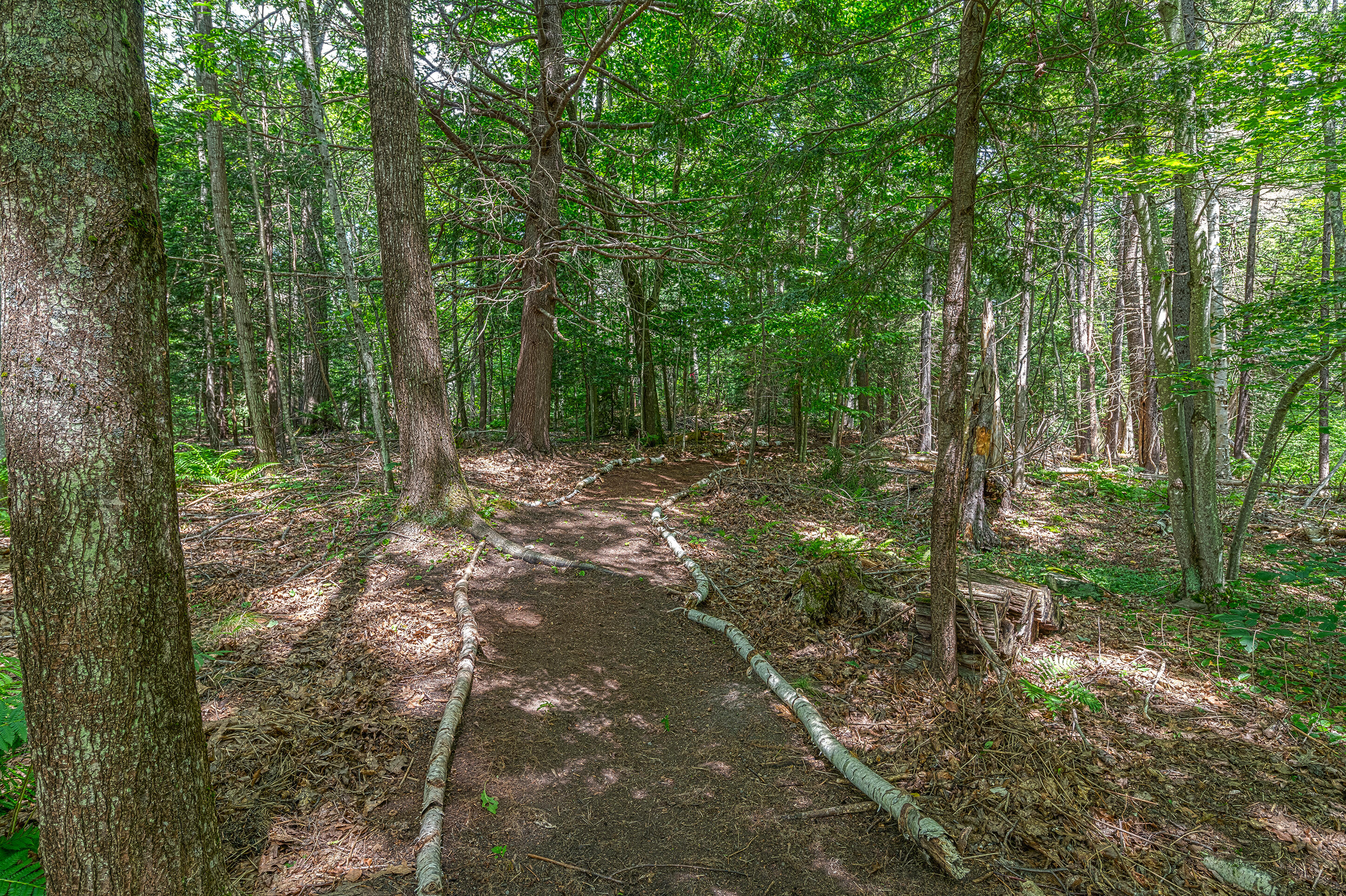 3 Canter Lane Cape Elizabeth, ME 04107 - Photo 33 of 37 3 Canter Lane