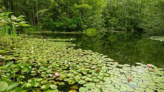 $3,950,000 | 3 Canter Lane, Cape Elizabeth, ME 04107