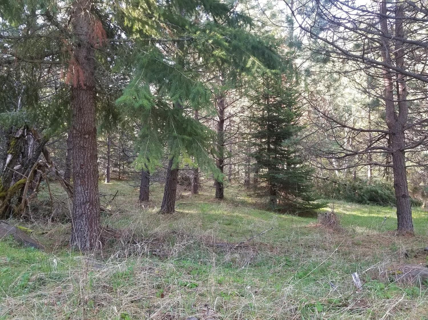 16079 East Antelope Road Eagle Point, OR 97524 - Photo 18 of 34 Additional Photo