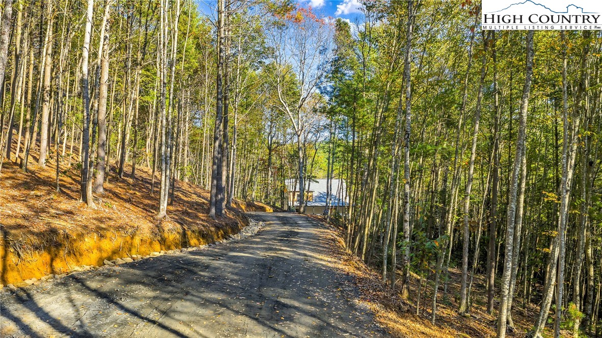 250 Noahs Ridge Fleetwood, NC 28626 - Photo 46 of 50