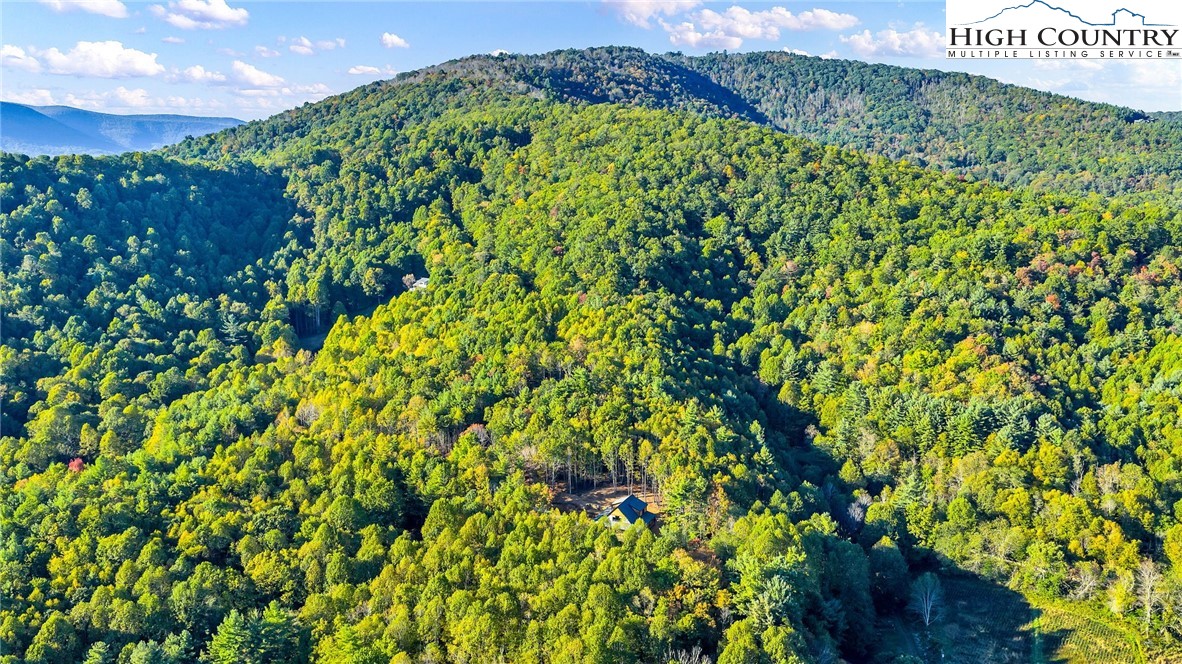 250 Noahs Ridge Fleetwood, NC 28626 - Photo 49 of 50