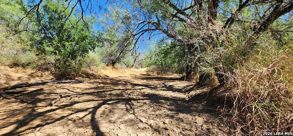 0 Loop 517 Carrizo Springs, TX 78834 - Photo 6 of 30