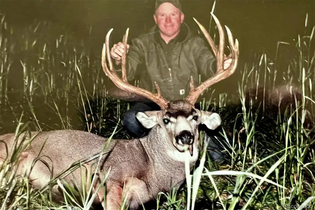 a view of wooden floor and a plant in the yard