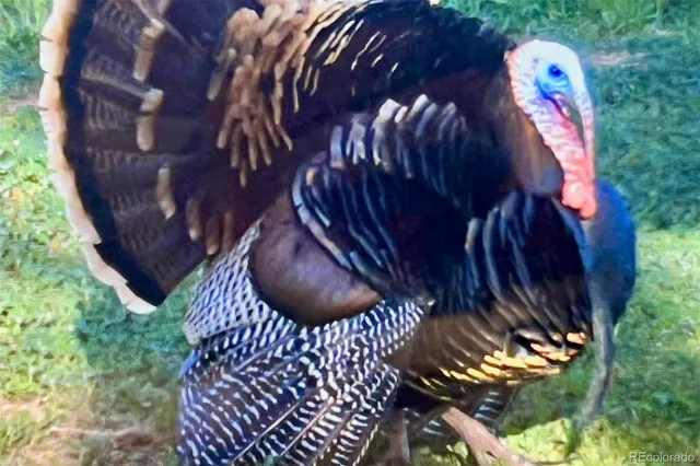 a front view of a house with lots of yellow lighting