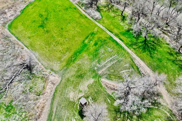 a view of a field with an trees