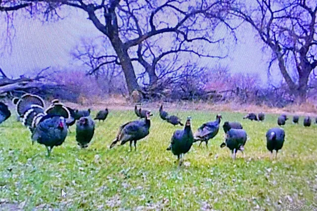 a view of an outdoor space