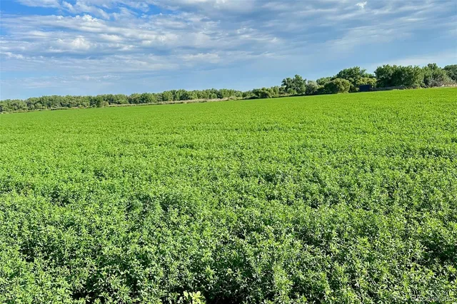 a view of a balcony with wooden floor