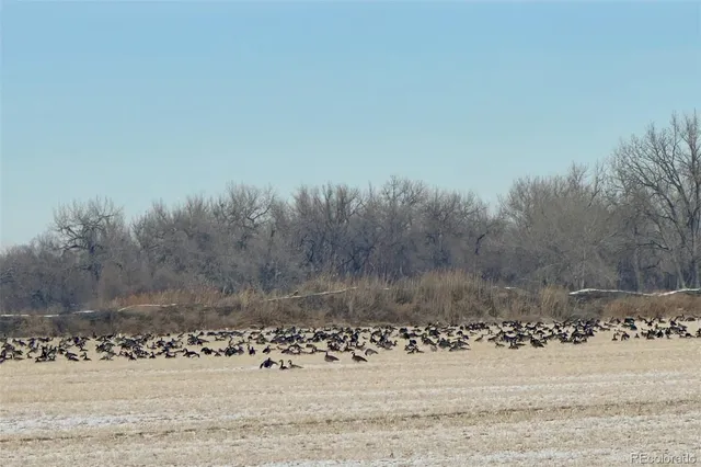 a view of a golf course with a lake