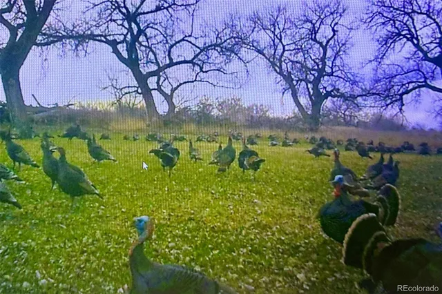 a view of a lake with a big yard and large trees
