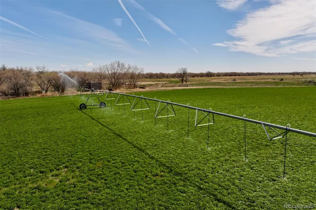 a view of a lake with a city view