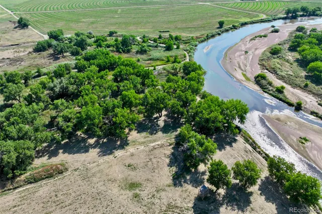 a view of a garden with a yard