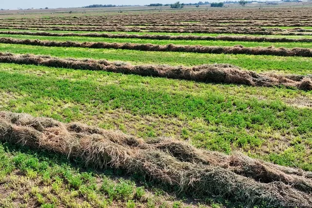 $7,900,000 | 56 Cr 56 Kersey Co 80644, Kersey, CO 80644