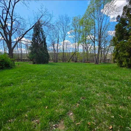 a view of a grassy field with trees